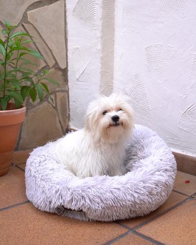 CAMA PARA MASCOTAS - LUXE CONFORTPLUS®